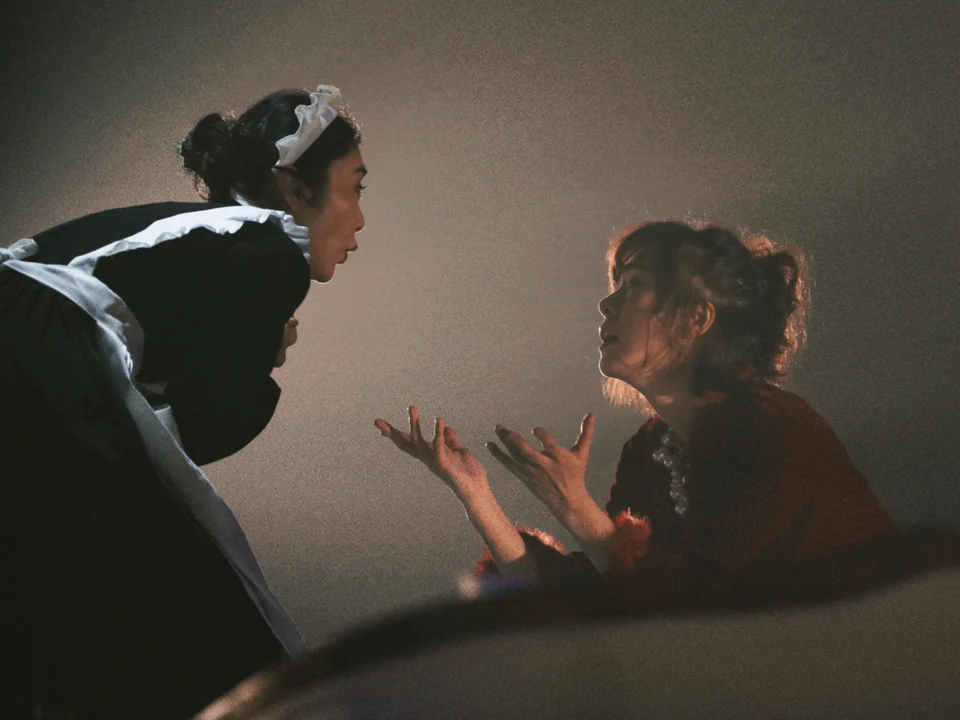 The Maids — production photograph