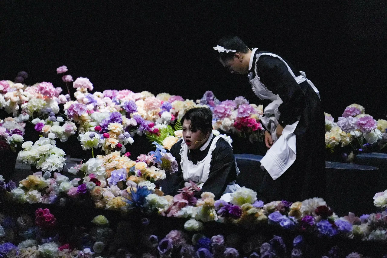 女仆 · 舞台演出照片